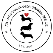 Atlantic Canadian Dachshund Rescue